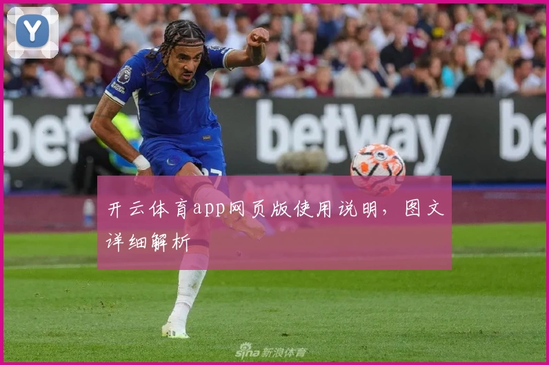 开云体育app网页版使用说明，图文详细解析