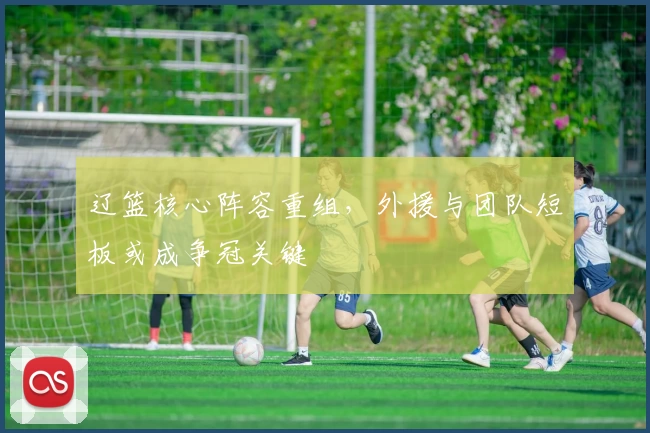 辽篮核心阵容重组，外援与团队短板或成争冠关键