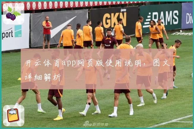 开云体育app网页版使用说明，图文详细解析