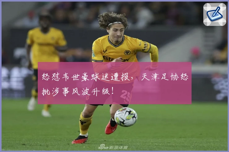怒怼韦世豪球迷遭报，天津足协怒批涉事风波升级！
