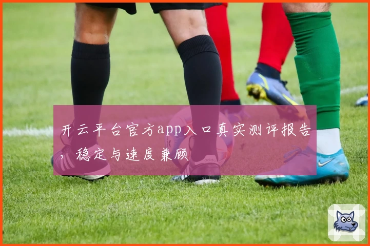 开云平台官方app入口真实测评报告，稳定与速度兼顾