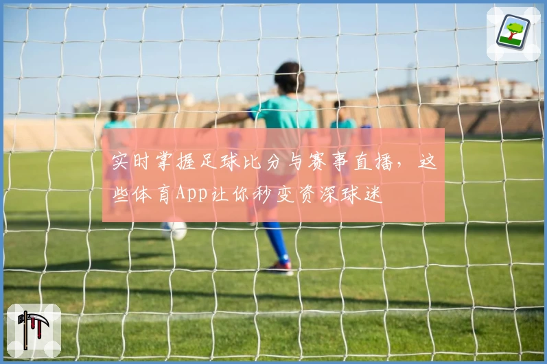 实时掌握足球比分与赛事直播,这些体育App让你秒变资深球迷